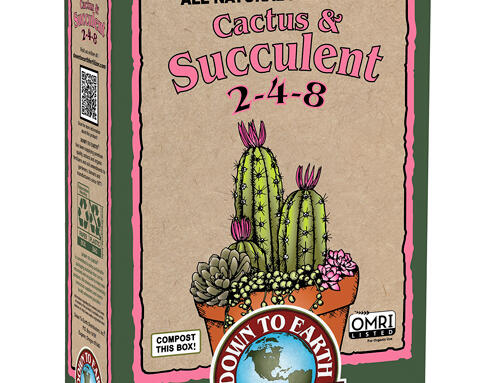 Cactus & Succulent 2-4-8 All Natural Fertilizer