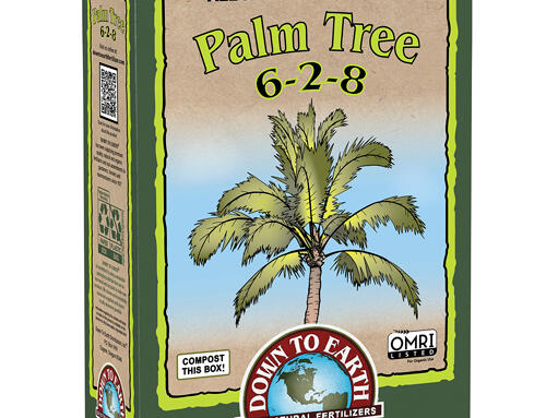Palm Tree 6-2-8 All Natural Fertilizer