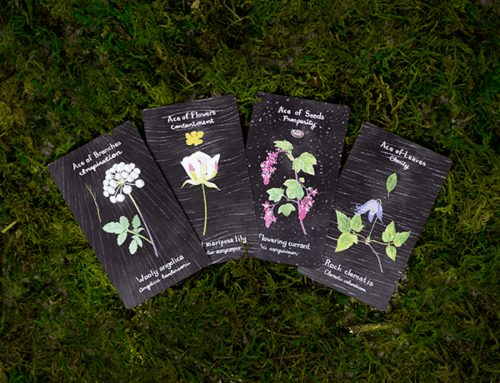 The Plant Companion Tarot