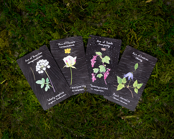 The Plant Companion Tarot