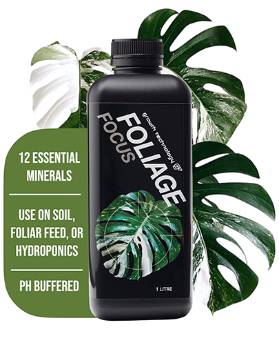 Growth Technology GT Foliage Focus
