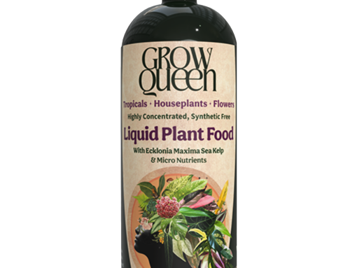Grow Queen 5-5-5 Liquid Plant Food