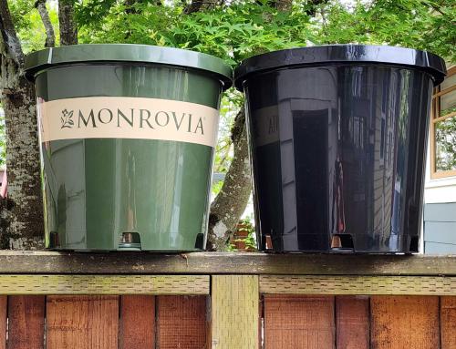 NCV Printable #10 & #15 containers