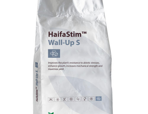 HaifaStim™ Wall-Up S